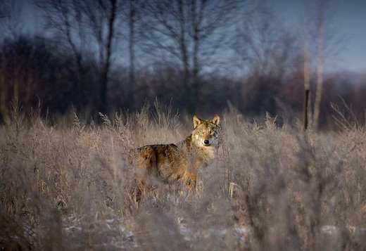 Авария на Чернобыльской АЭС: 25 лет спустя